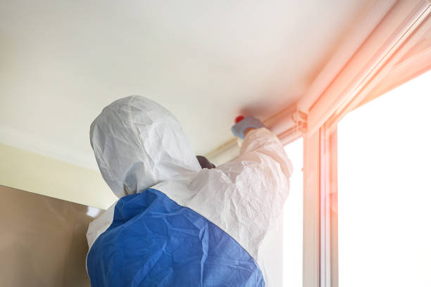 Mold Remediation for Rental Properties in Waverly, MN