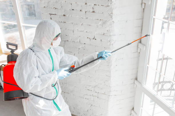 Best Forensic Mold Investigation  in Waverly, MN